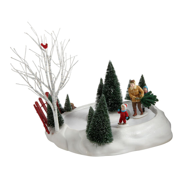 Bringing Home The Tree