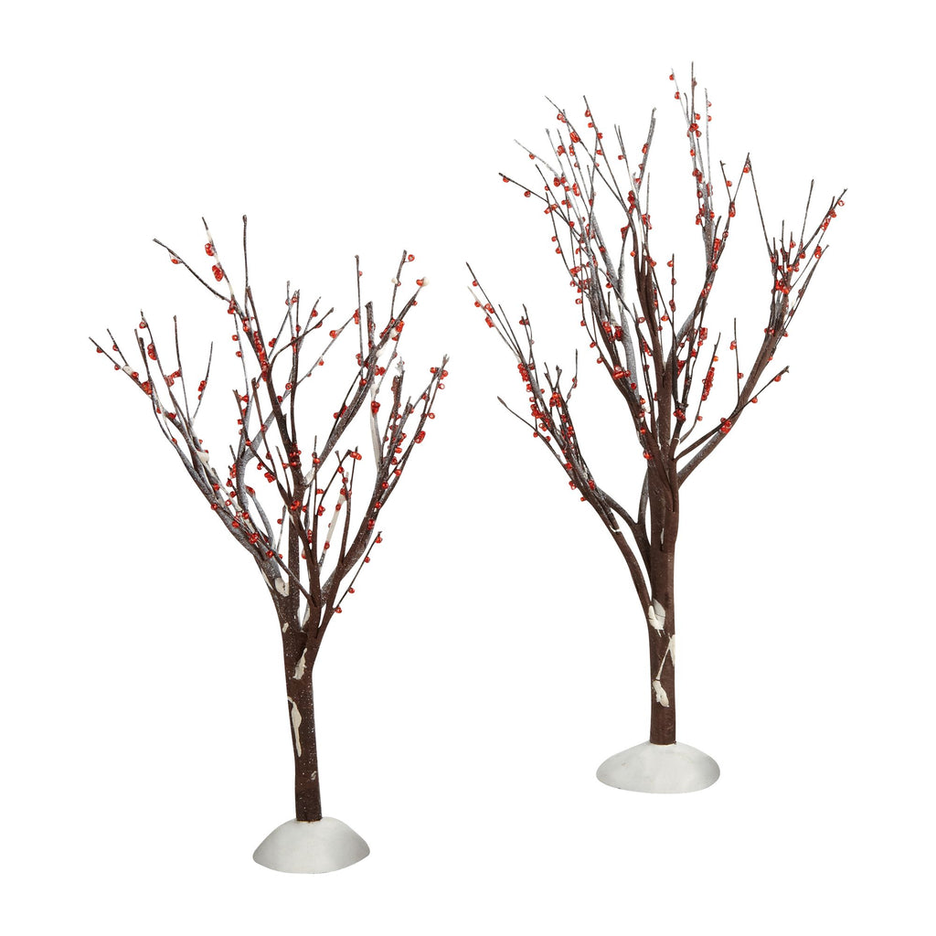Winter Berry Trees