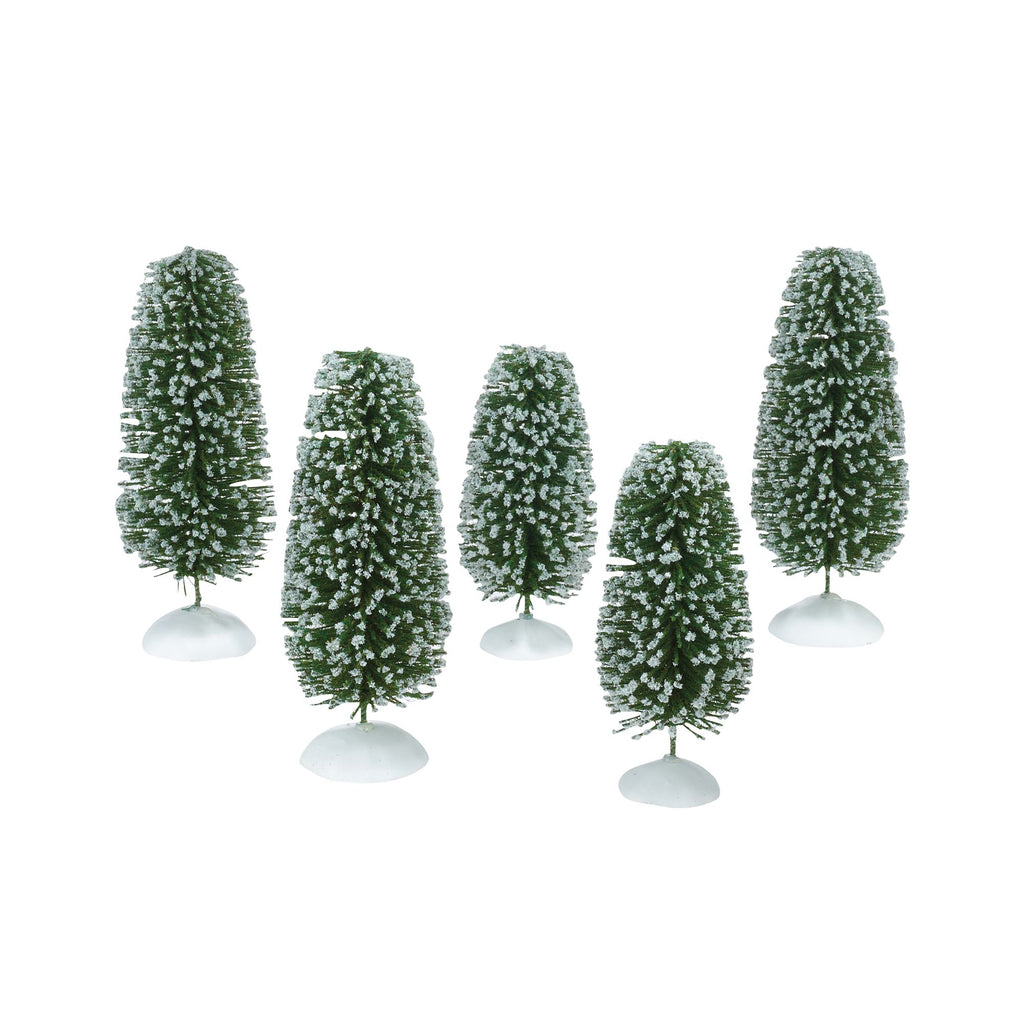 Wonderland Shrubs, Medium
