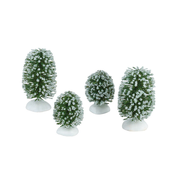 Wonderland Shrubs, Small