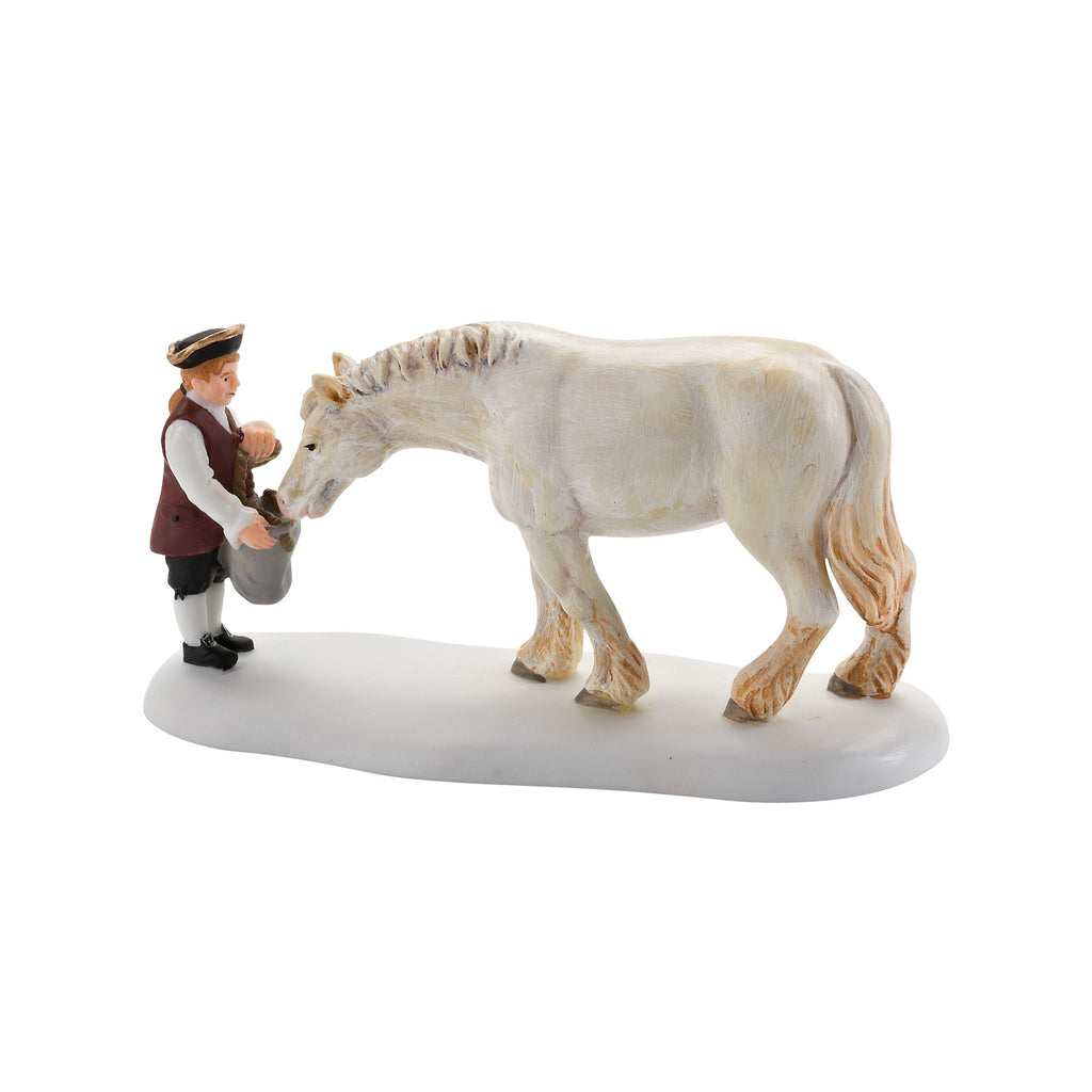 Grain For The Horse