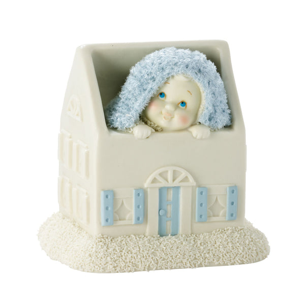 New Baby In The House Boy