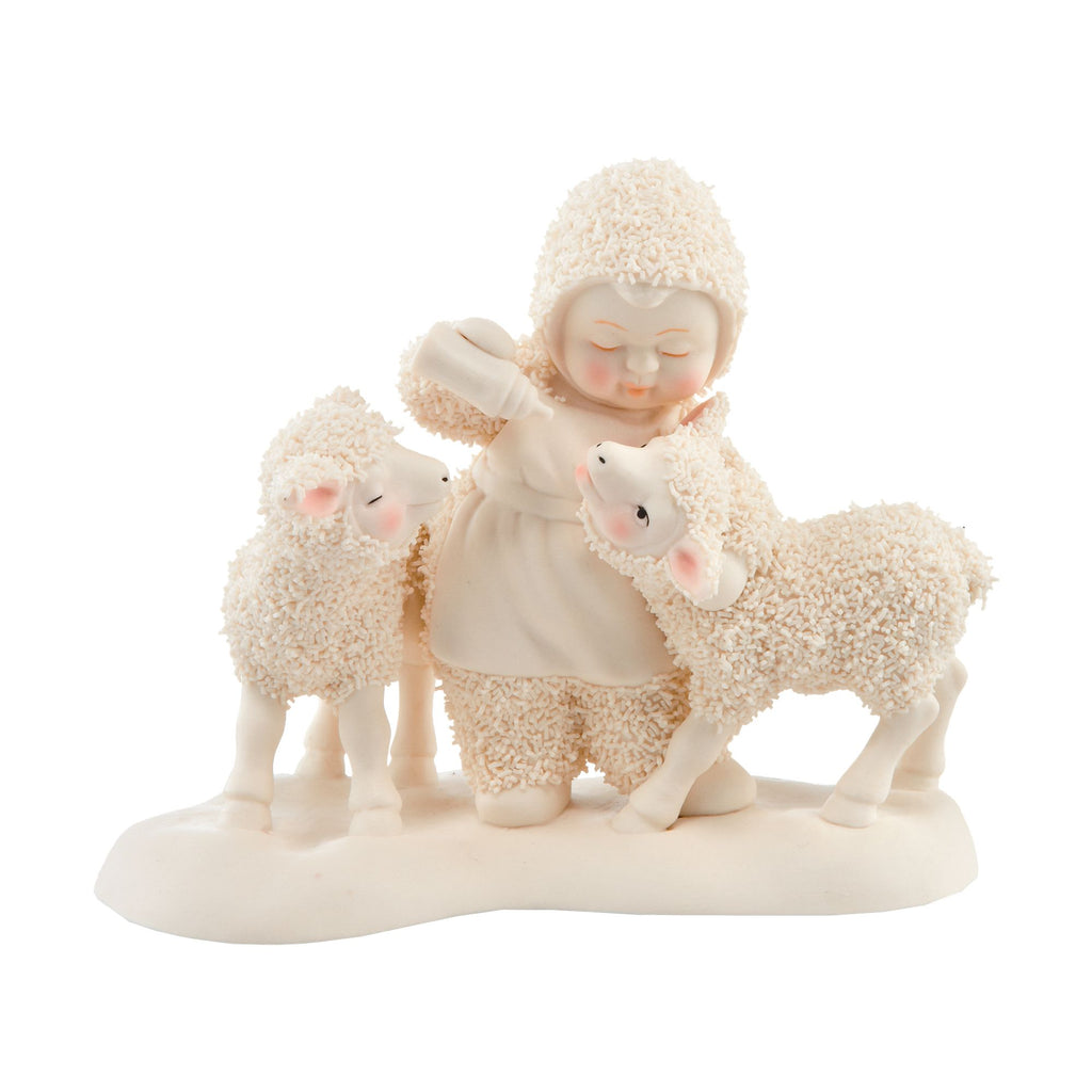 Little Lambs