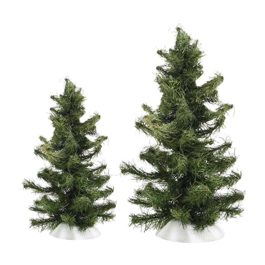 Rugged Spruce Trees, Set of 2