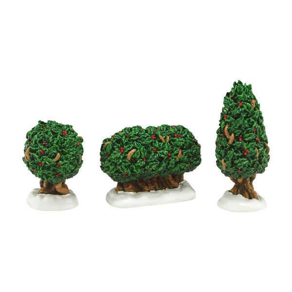 Holly Shrubs, Set of 3