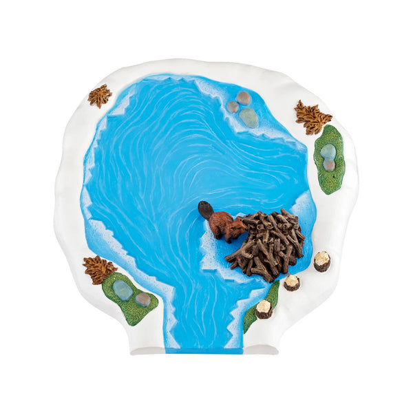 Woodland Beaver Pond