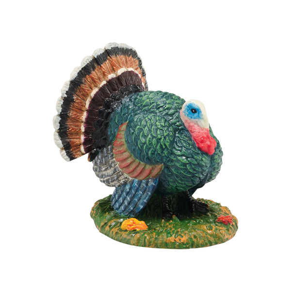 Harvest Fields Turkey