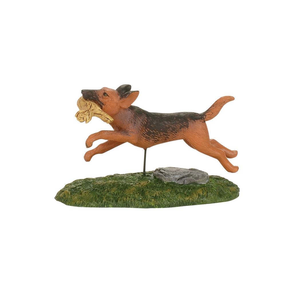 Woodland Fetch