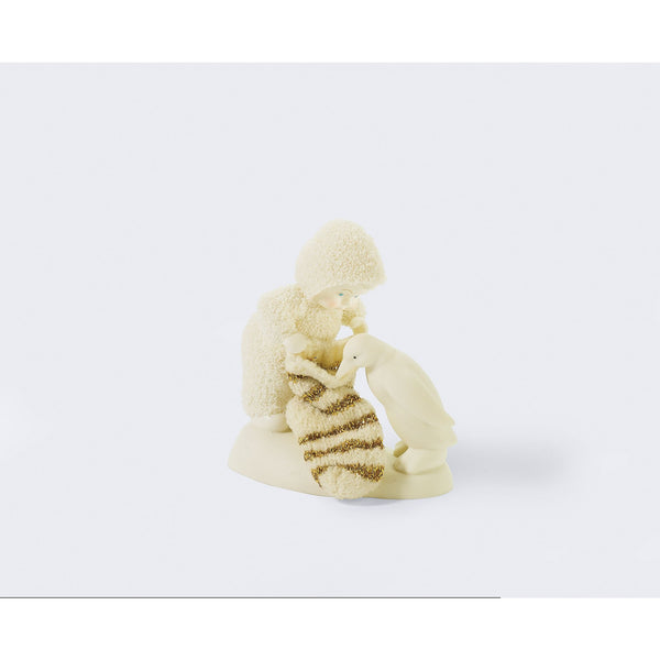 “Curious Penguin Peeks For Pre