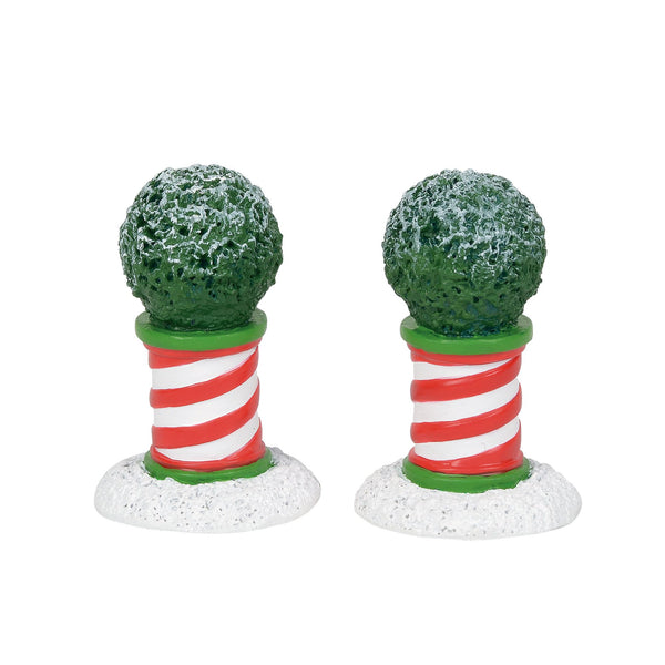 Peppermint Planters