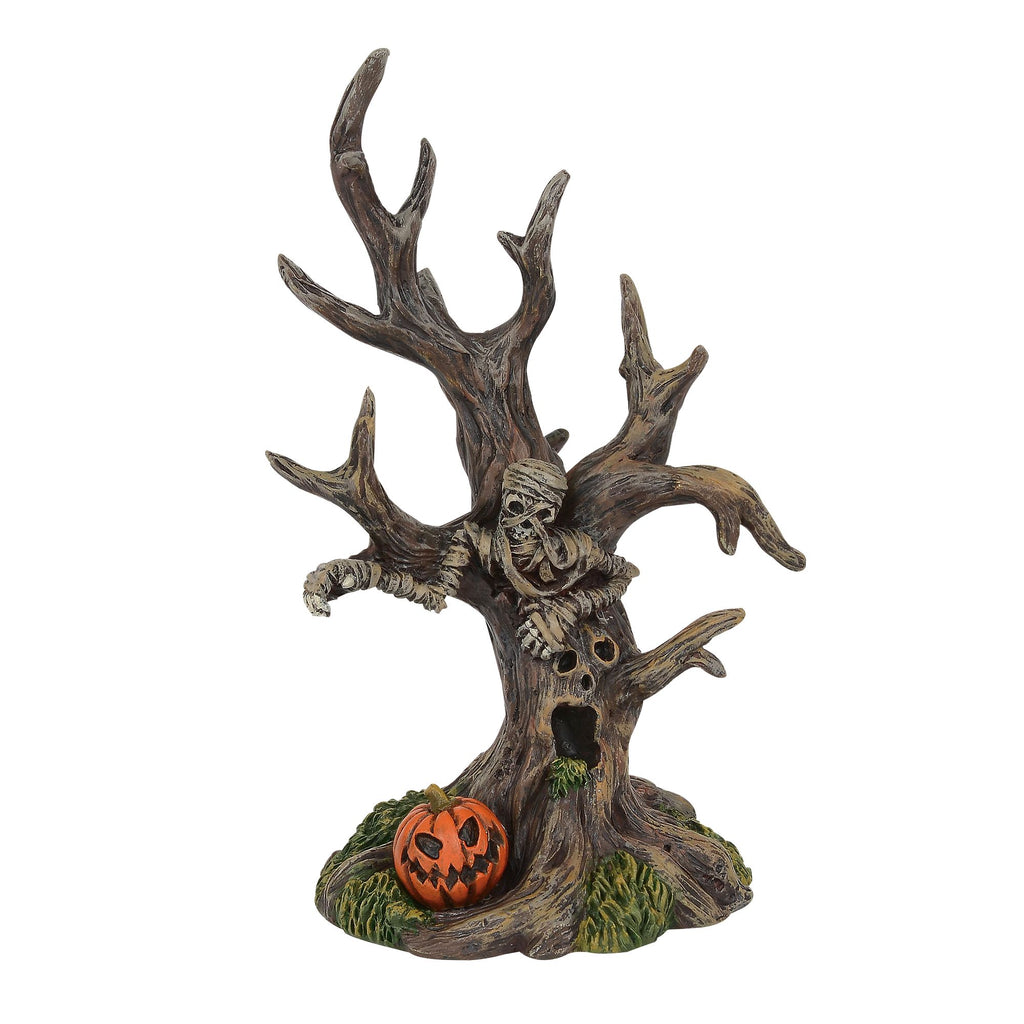 Petrified Tree