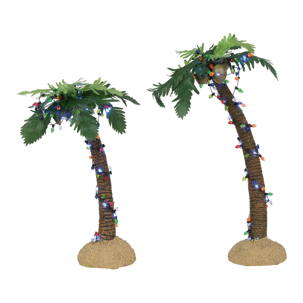 Lit Palm Trees