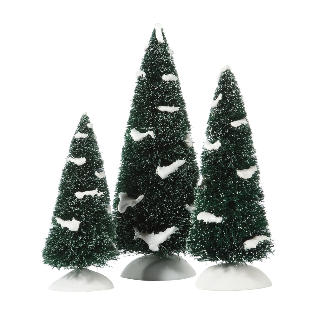 Heavy Snowed Pines
