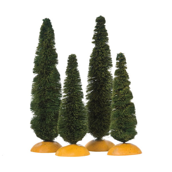 Cypress Trees