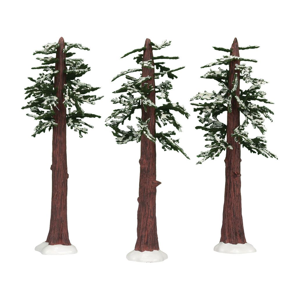 Redwood Pines, Set of 3