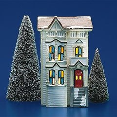Pacific Heights House