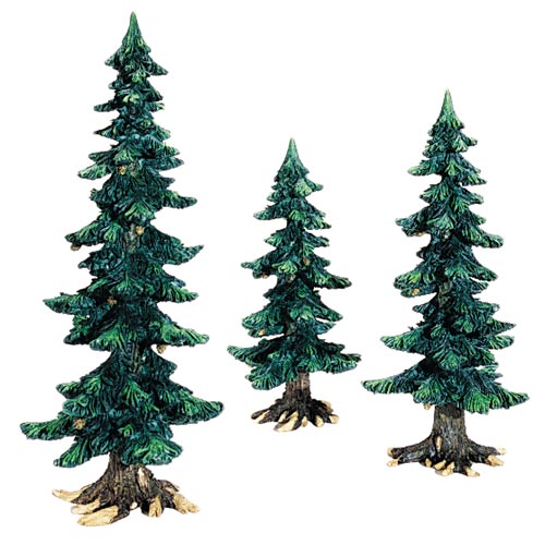 Summer Pine Trees With Pine Co