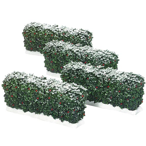 Holly Hedges