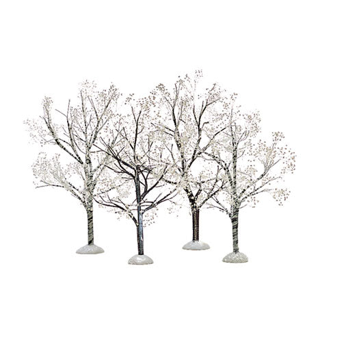 Village Winter Trees