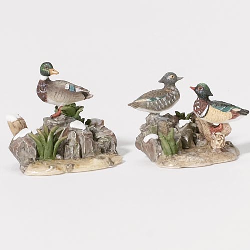 Mallard And Wood Duck