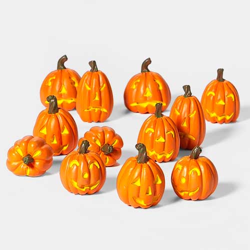 Jack-O-Lantern Pumpkins