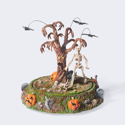 Taking Bones For A Walk