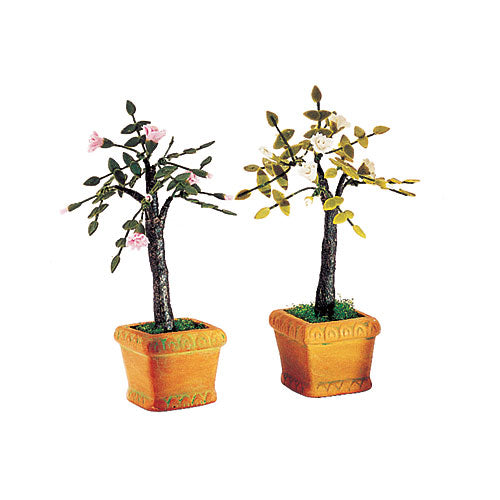 Flowering Potted Tree