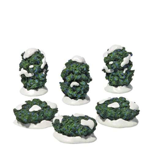 Juniper Shrubs, set of 6