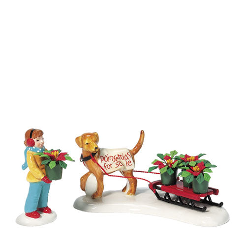 Neighborhood Poinsettia Salesm