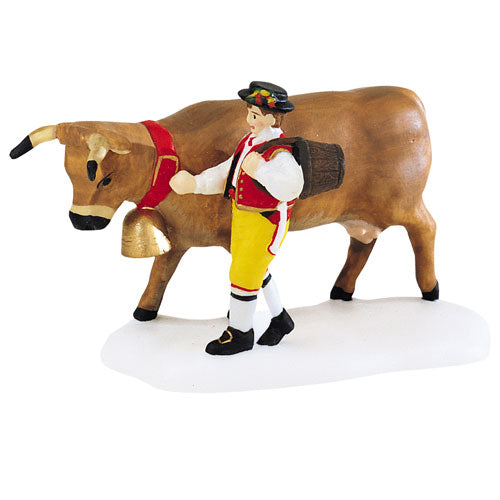Leading The Bavarian Cow