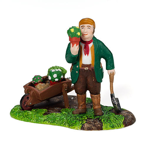 Admiring Nature's Beauty