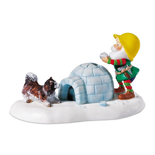 An Igloo For Snowball