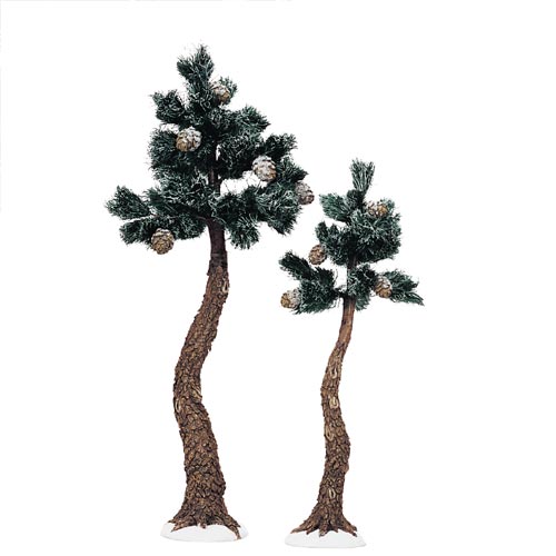 Pinewood Trees Large