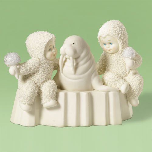 What's Your Favorite Flavor?