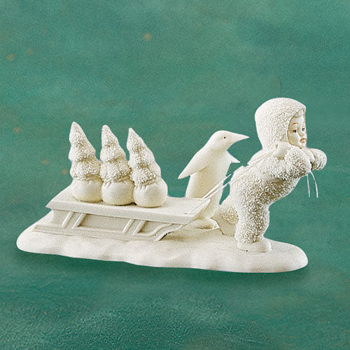 Bringing Starry Pines